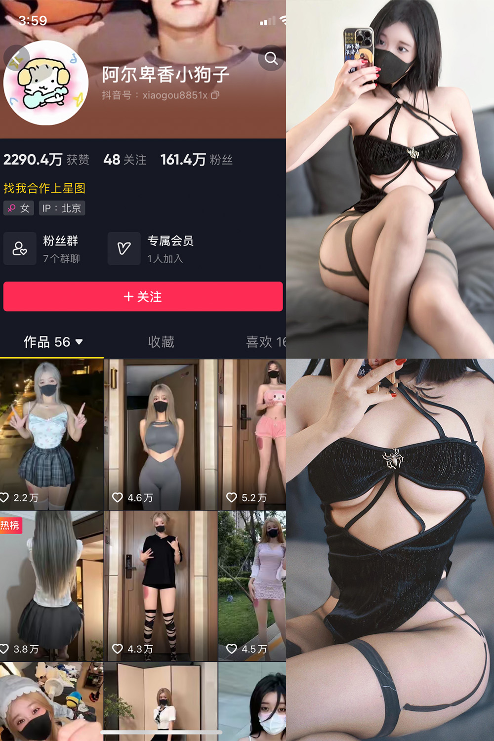 抖音 阿尔卑香小狗子 微密圈 NO.046期 【14P1V】最新至:2024.6.9