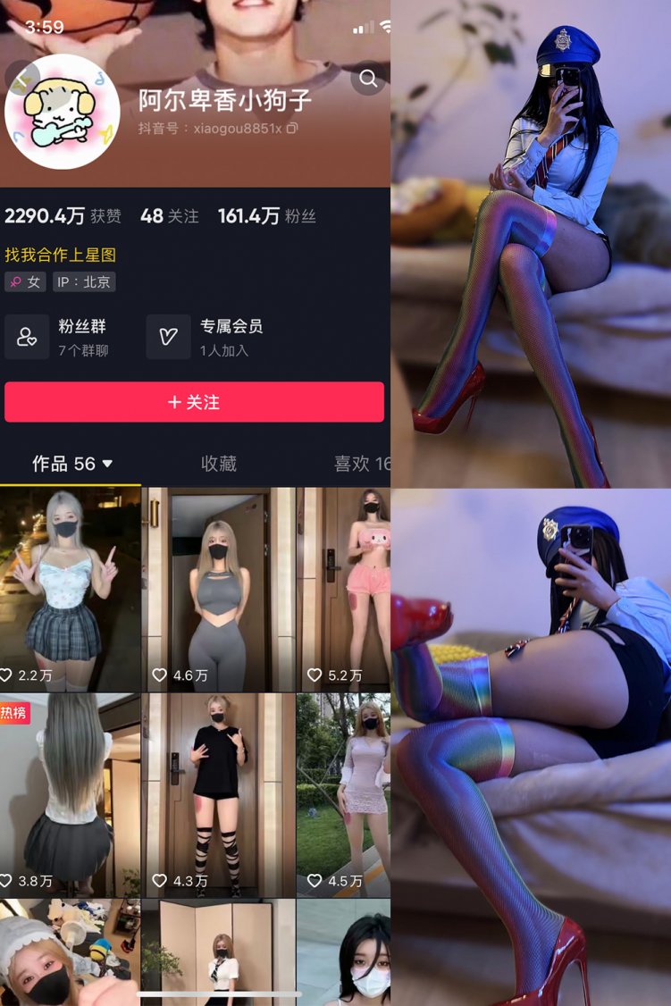 抖音 阿尔卑香小狗子 微密圈 NO.031期 【19P】