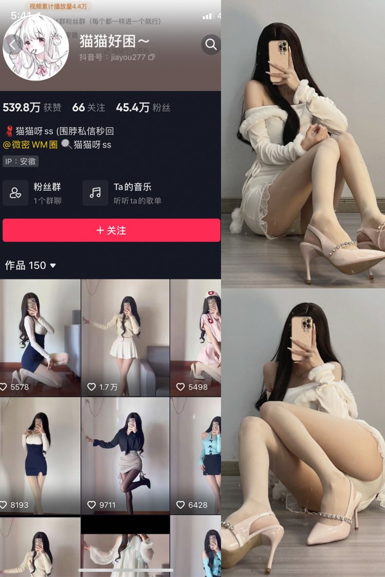 抖音 猫猫好困 微密圈 NO.030期 【81P】最新至：2024.4.29