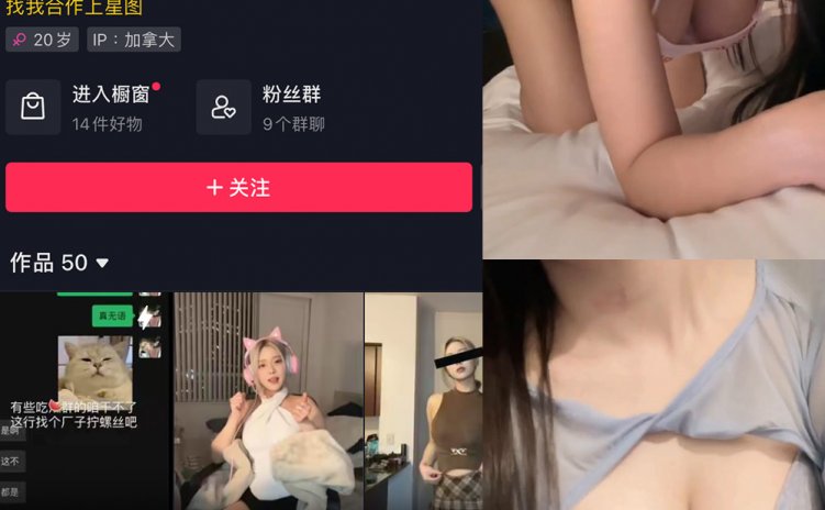 抖音 多肉小野猫 微密圈 NO.051期 【4P10V】最新
