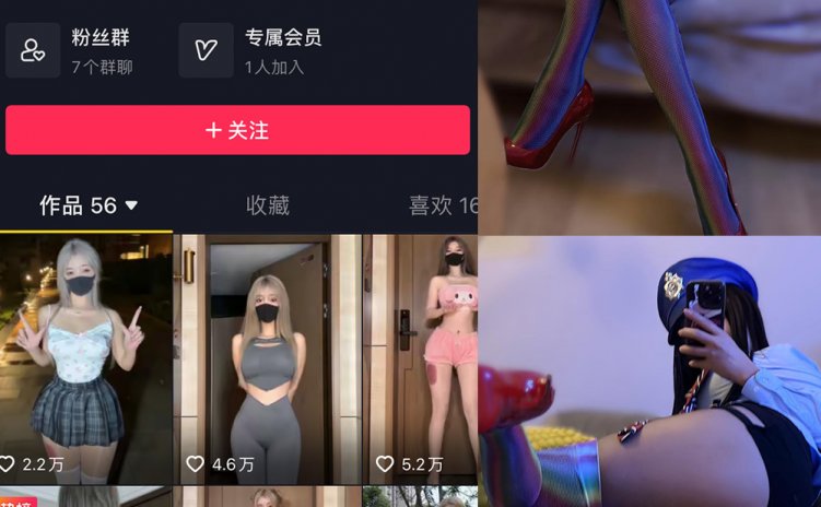 抖音 阿尔卑香小狗子 微密圈 NO.031期 【19P】