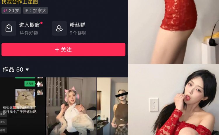 抖音 多肉小野猫 微密圈 NO.054期 【5P3V】最新至:2024.5.9