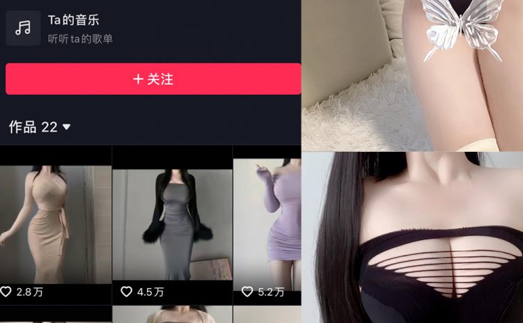 抖音 瀛猫 微密圈 NO.050期 【22P1V】最新至:2024.5.6