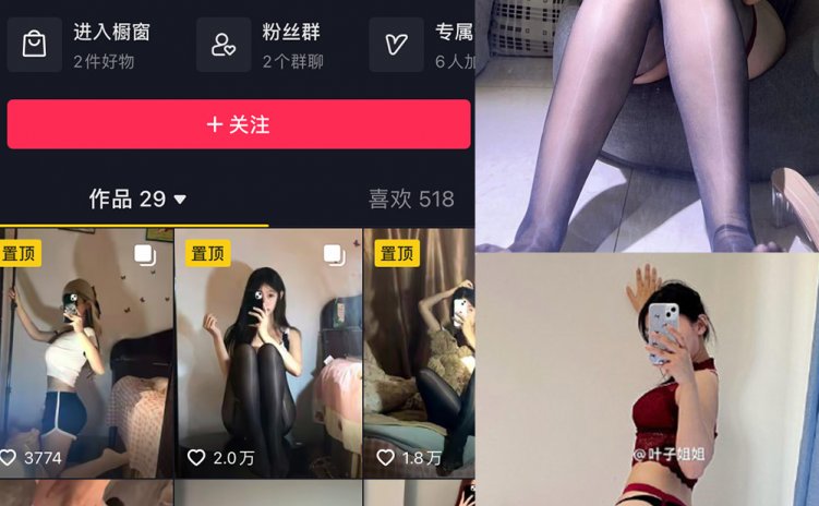 抖音 叶子姐姐 微密圈 NO.025期 【35P3V】最新至:2024.5.9