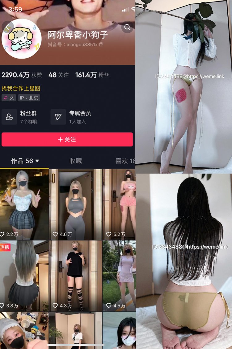 抖音 阿尔卑香小狗子 微密圈 NO.047期 【39P】最新至：2024.6.10