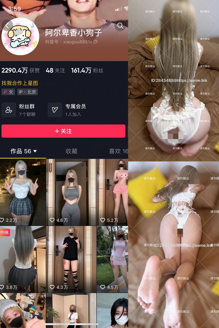 抖音 阿尔卑香小狗子 微密圈 NO.054期 【16P1V】