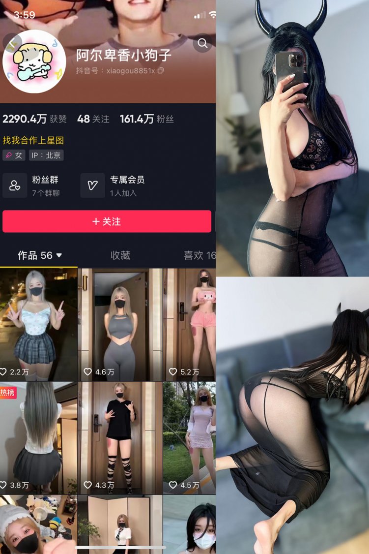 抖音 阿尔卑香小狗子 微密圈 NO.055期 【26P2V】