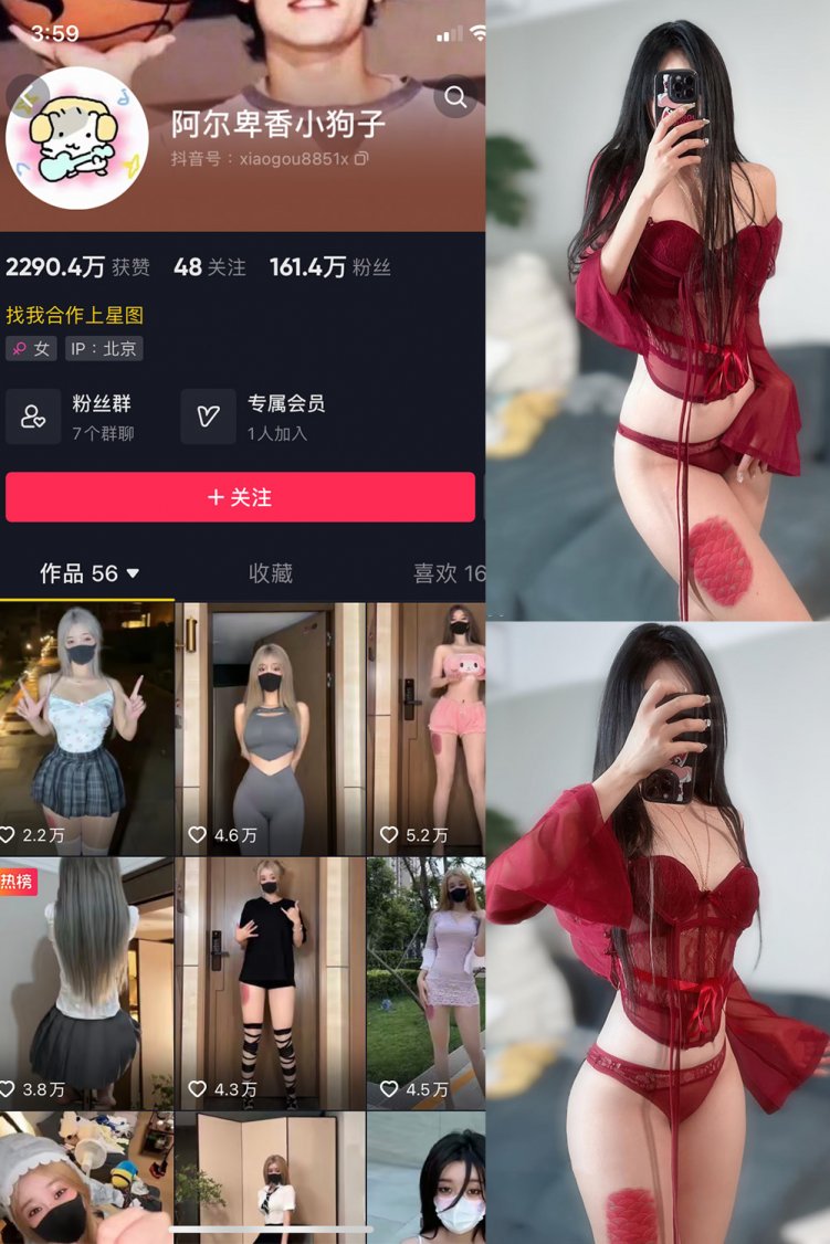 抖音 阿尔卑香小狗子 微密圈 NO.056期 【10P2V】