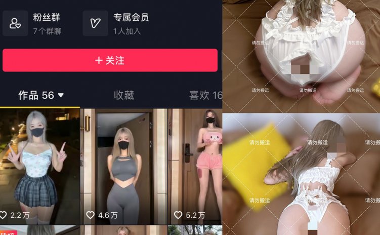 抖音 阿尔卑香小狗子 微密圈 NO.054期 【16P1V】