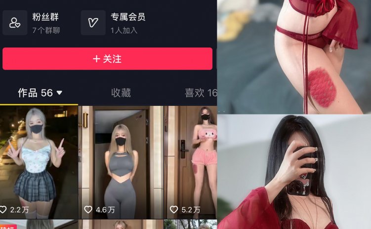 抖音 阿尔卑香小狗子 微密圈 NO.056期 【10P2V】