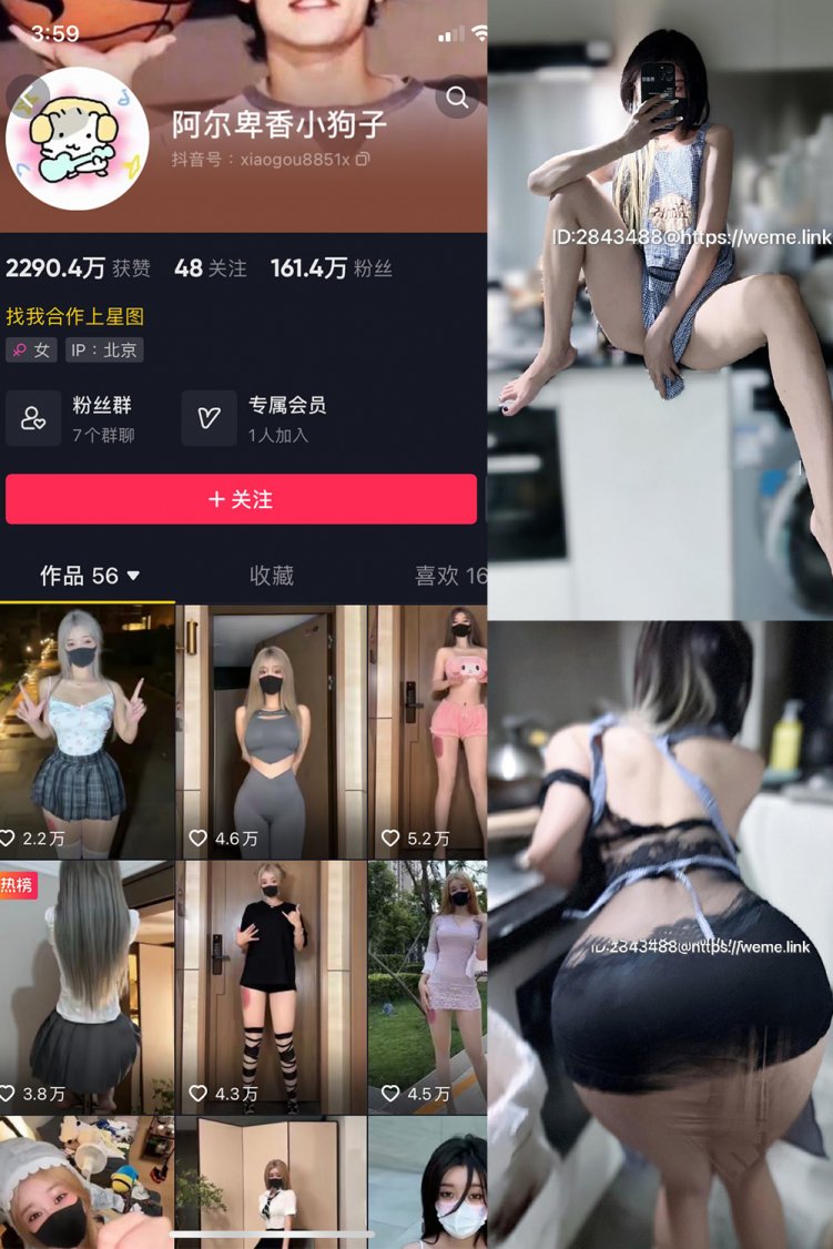 抖音 阿尔卑香小狗子 微密圈 NO.058期 【14P】