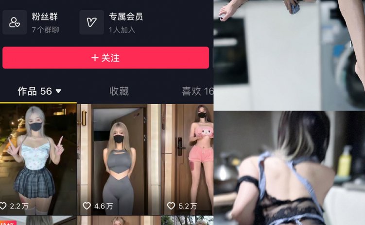 抖音 阿尔卑香小狗子 微密圈 NO.058期 【14P】