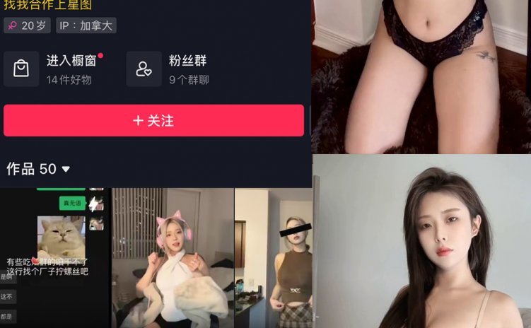 抖音 多肉小野猫 微密圈 NO.061期 【2P15V】