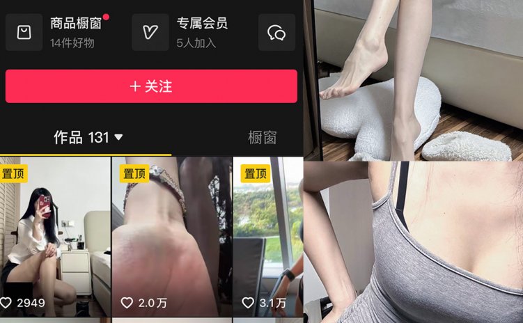抖音 二雪女士 微密圈 NO.001-005期 【合集】