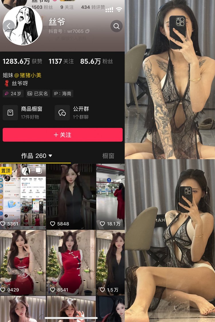 抖音 丝爷 微密圈 NO.003期 【52P4V】最新至：2024.12.13