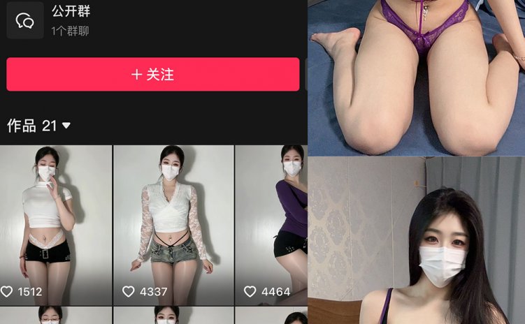 抖音 极品小姨 微密圈 NO.002期 【13P2V】最新至:2024.12.20
