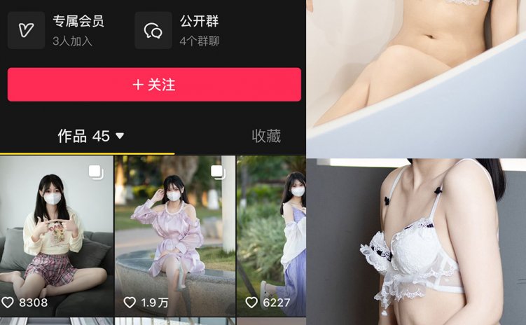 抖音 甜辣小北 微密圈 NO.004期 【69P2V】最新至:2024.12.15