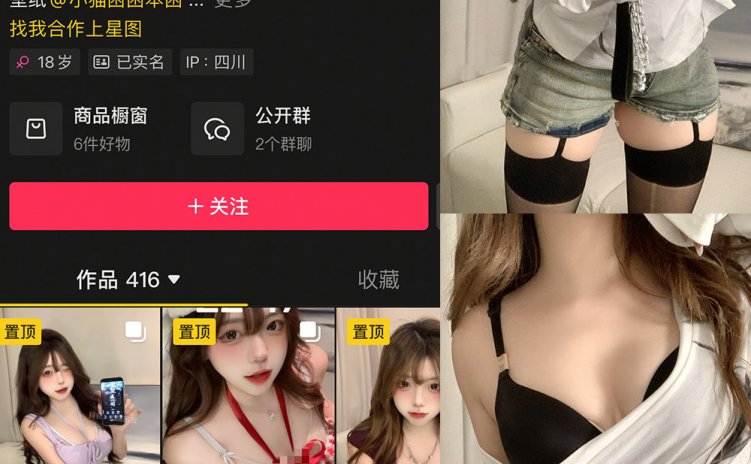 抖音 小猫困困 微密圈 NO.001-3期 【22P5V】 合集