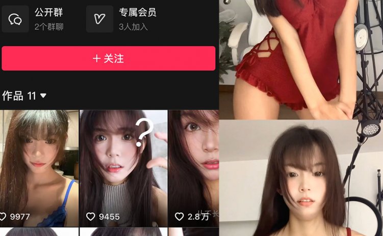 抖音 子嘉 微密圈 NO.001-2期 【2P3V】合集 最新至:2024.12.3