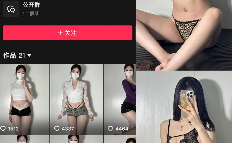 抖音 极品小姨 微密圈 NO.011期 【65P】