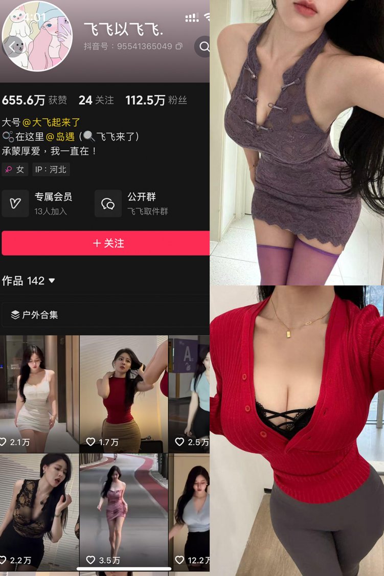 抖音 飞飞以飞飞 岛遇 NO.001期 【21P1V】