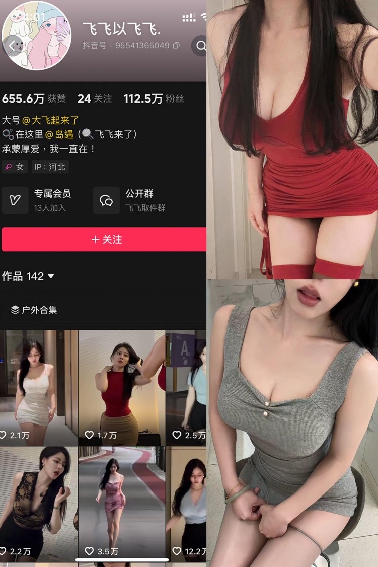 抖音 飞飞以飞飞 岛遇 NO.002期 【20P5V】